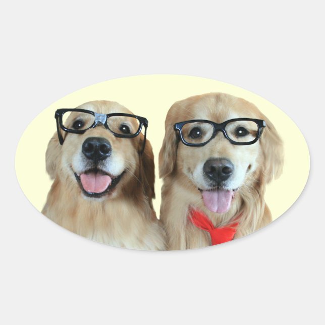 Golden Retriever With Nerd Glasses Stickers (Front)