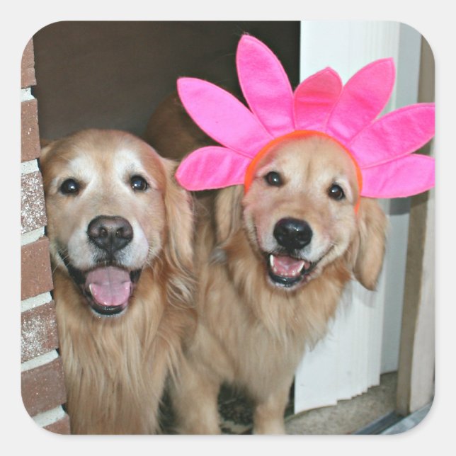 Golden Retriever With Pink Flower Headband Square Sticker (Front)