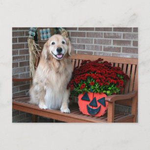 Golden Retriever With Pumpkin Planter Postcard