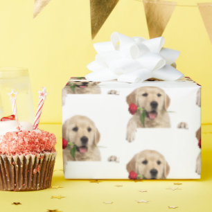 golden retriever with red rose wrapping paper