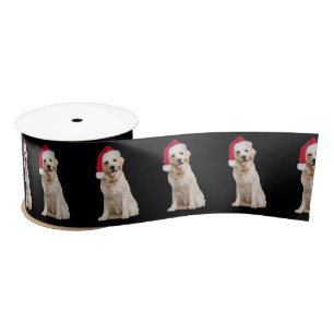 Golden Retriever with Santa Hat   Satin Ribbon