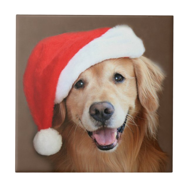 Golden Retriever With Santa Hat Tile (Front)