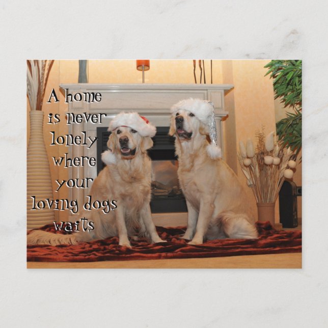 Golden Retriever with santa hats on a never lonly Postcard (Front)