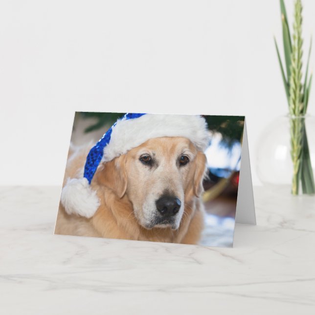 Golden Retriever with  santa's hat in Christmas Holiday Card (Front)