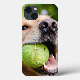 Golden Retriever With Tennis Ball iPhone 13 Case