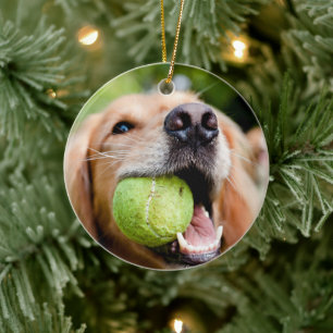 Golden Retriever With Tennis Ball Ceramic Tree Decoration