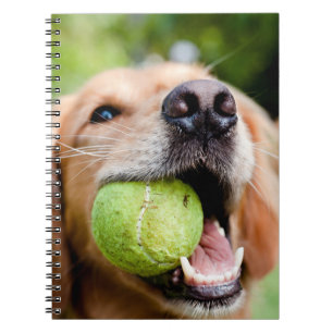 Golden Retriever With Tennis Ball Notebook