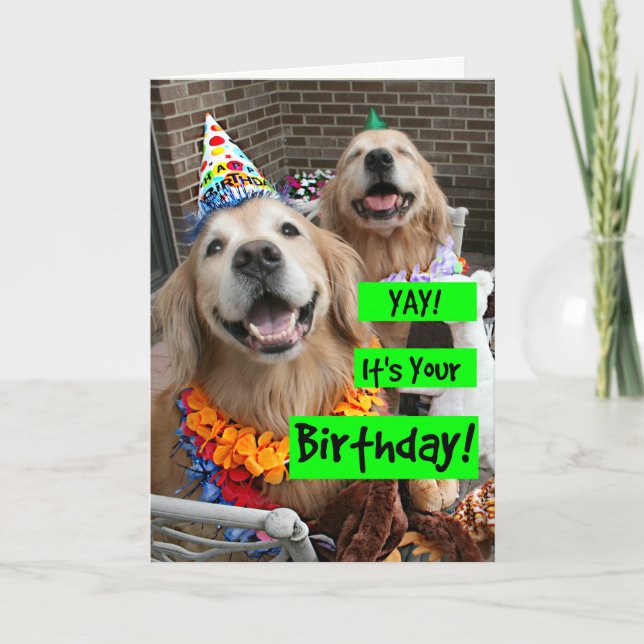 Golden Retriever Yay It's Your Birthday Card (Front)