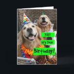 Golden Retriever Yay It's Your Birthday Card<br><div class="desc">Celebrate someone's birthday with this cute golden retriever card! Design features two smiling dogs in leis and party hats,  along with the words,  "Yay! It's Your Birthday!"</div>