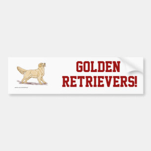 Golden Retrievers! Bumper Sticker