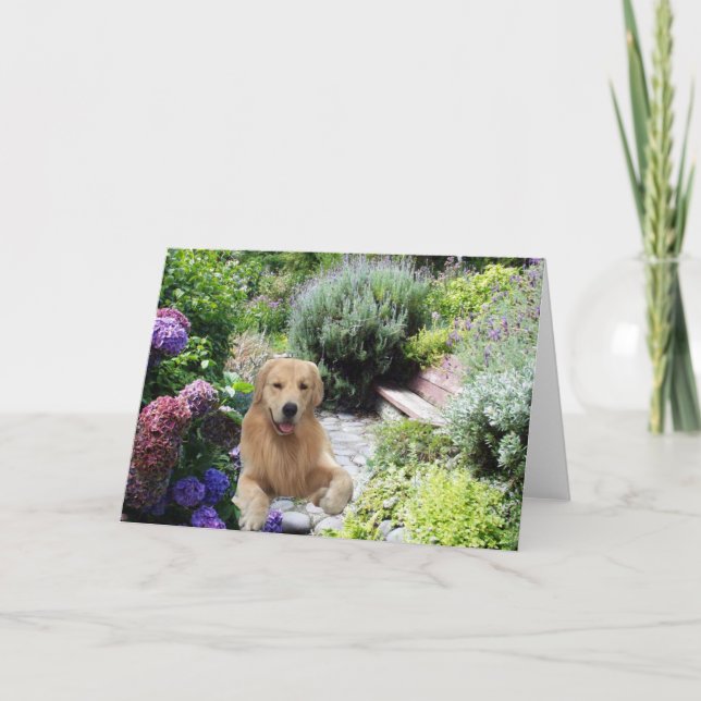Golden Retrievers Caine In The Garden Card (Front)