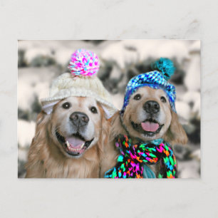Golden Retrievers in Winter Hats Holiday Christmas Postcard