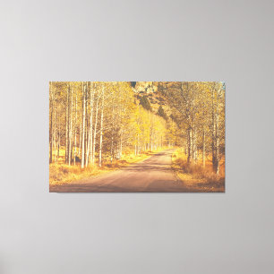 Golden Road Canvas Print