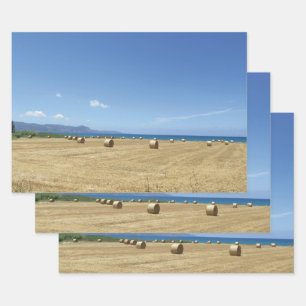 Golden Rolls of Hay and Deep Blue Sea Design Wrapping Paper Sheet