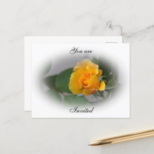 Golden Rose Announcement Postcard
