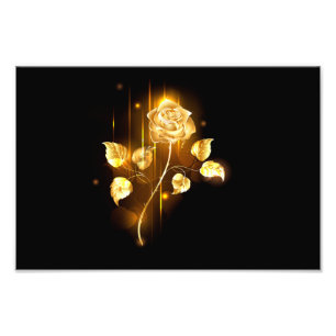 Golden rose ( gold rose ) photo print