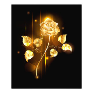 Golden rose ( gold rose ) photo print