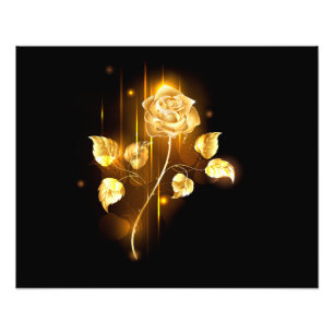 Golden rose ( gold rose ) photo print
