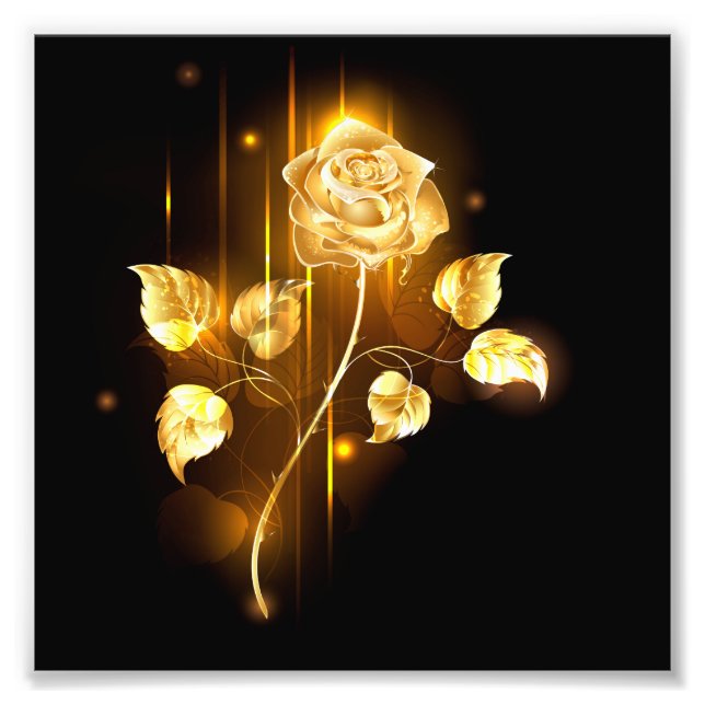 Golden rose ( gold rose ) photo print (Front)