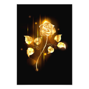 Golden rose ( gold rose ) photo print