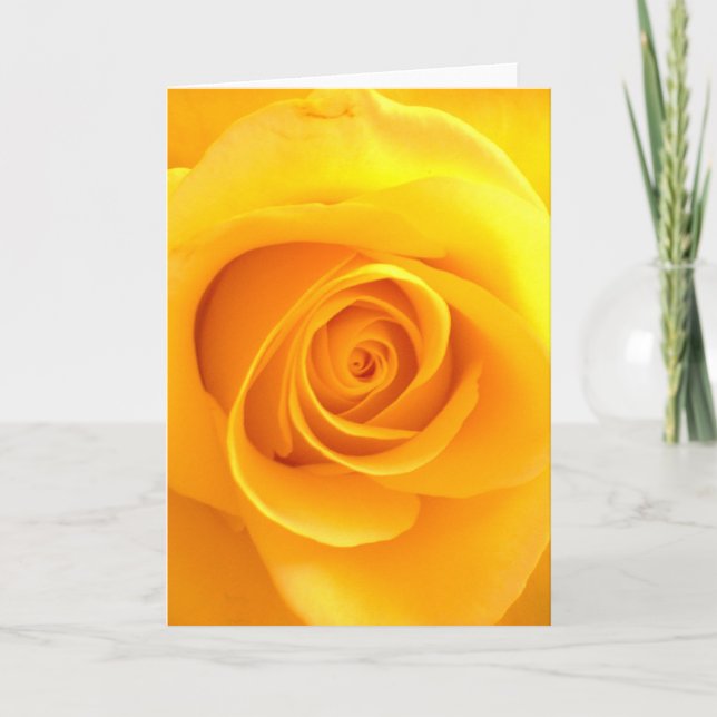 Golden Rose Greeting Card (Front)