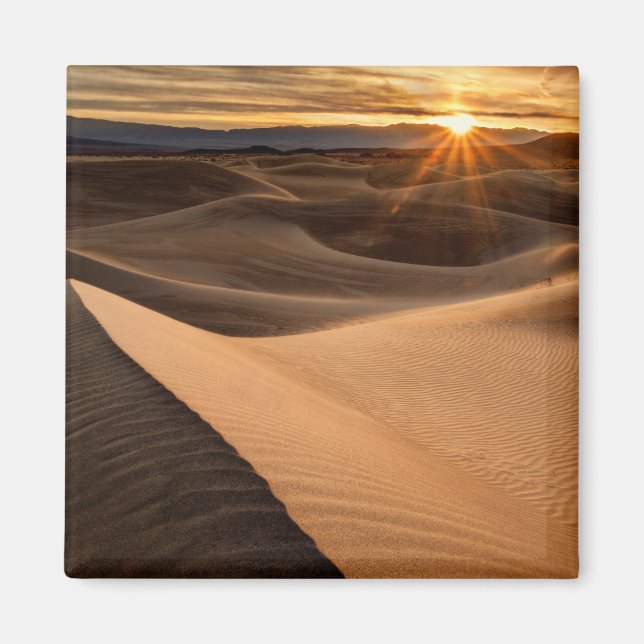 Golden Sand dunes, Death Valley, CA Magnet (Front)