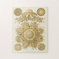 Golden Sea Creatures