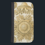 Golden Sea Creatures Samsung S4 Wallet Case<br><div class="desc">Ernst Haeckel is a creative and imaginative artist. In this contemporary piece of art,  he captures the sea life anemone urchins in gold and twisty designs. You won't have any other piece of art like its kind. Get this innovative piece of ocean art on your products today!</div>