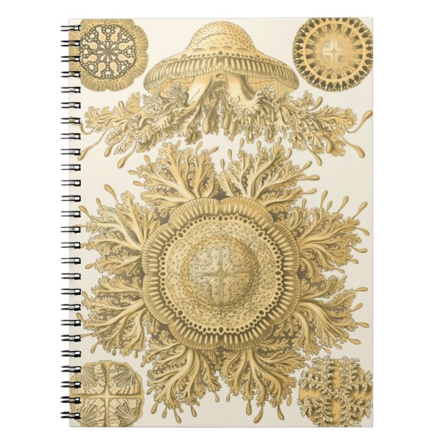 Golden Sea Creatures Spiral Notebook (Front)