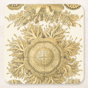 Golden Sea Creatures Square Paper Coaster