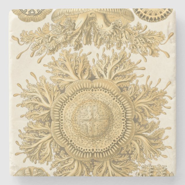 Golden Sea Creatures Stone Coaster (Front)