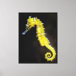 Golden Seahorse Vibrant Marine Life Canvas Print