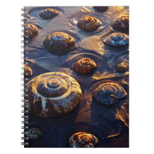 Golden Seashells Beach Sand Notebook