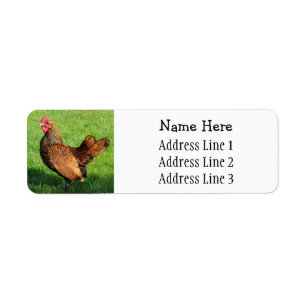 Golden Sebright Rooster Pet Chicken Return Address