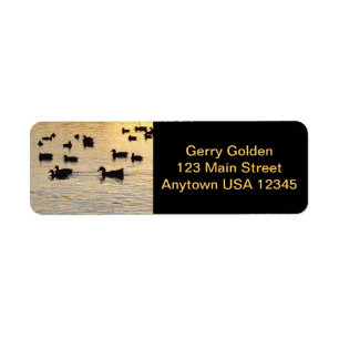 Golden Shimmering Pond ducks geese