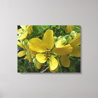 Golden Shower Tree Tropical Yellow Floral Canvas Print