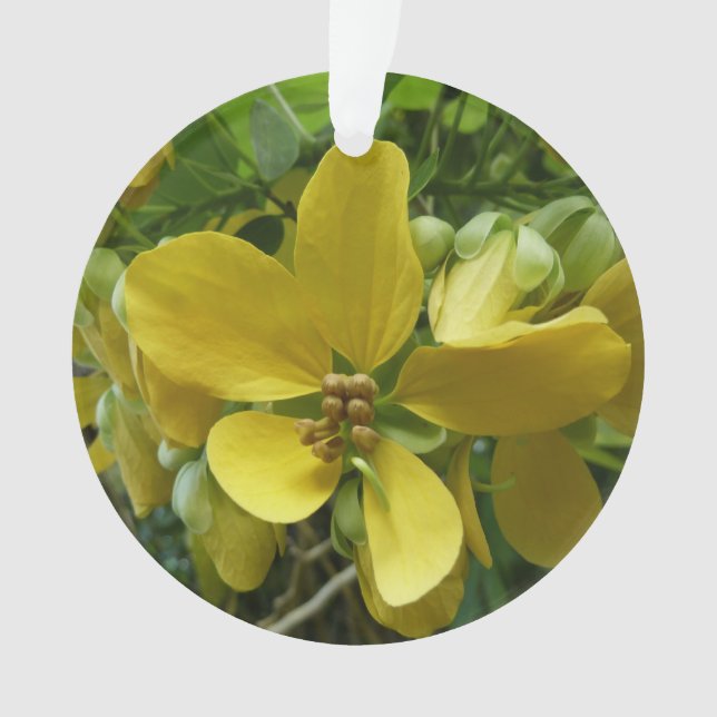 Golden Shower Tree Tropical Yellow Floral Ornament (Front)