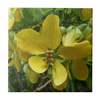 Golden Shower Tree Tropical Yellow Floral Tile