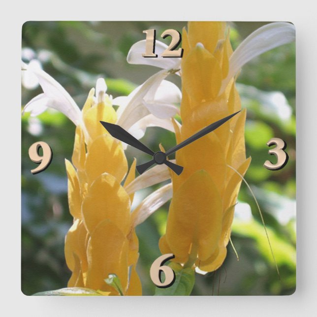 Golden Shrimp Plant Flowers Square Wall Clock (Front)