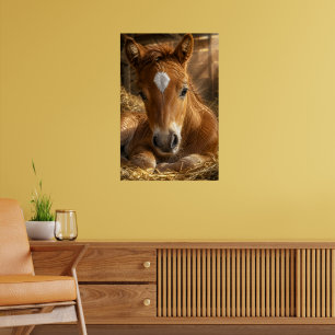 Golden Slumber gentle Foal Poster