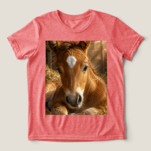 Golden Slumber gentle Foal Tri-Blend Shirt