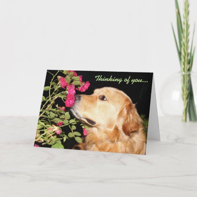 Golden Sniffing Flowers and Thinking of You Card (Front)