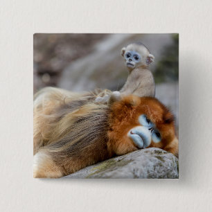 Golden Snub-nosed Monkey Dad with Baby 15 Cm Square Badge