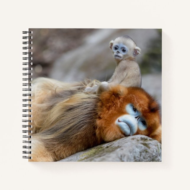 Golden Snub-nosed Monkey Dad with Baby Notebook (Front)