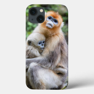 Golden Snub-Nosed Monkey with Baby iPhone 13 Case