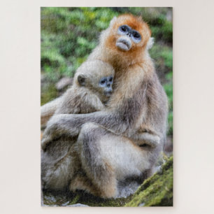 Golden Snub-Nosed Monkey with Baby Jigsaw Puzzle