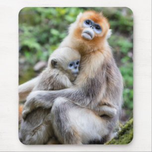 Golden Snub-Nosed Monkey with Baby Mouse Pad