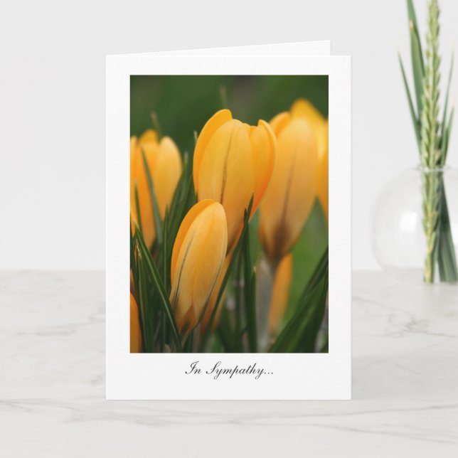 Golden Spring Crocuses - In Sympathy Card (Front)