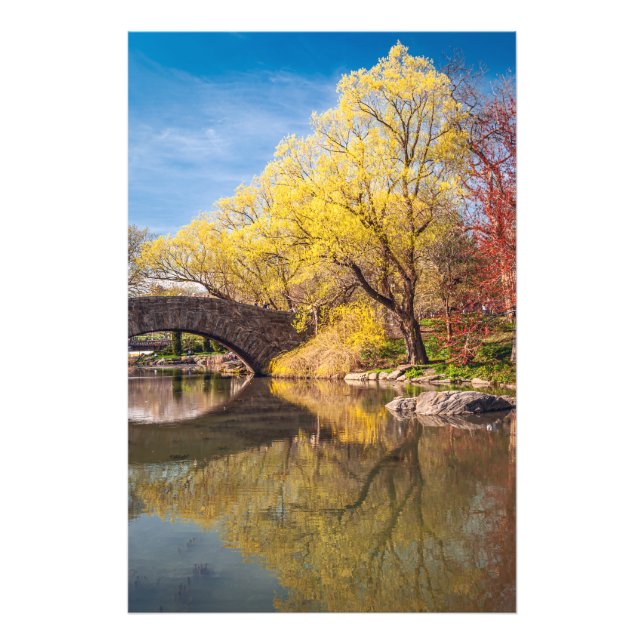 Golden Spring  Photo Print (Front)