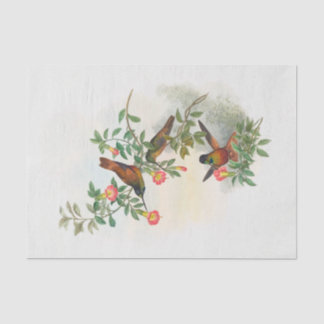 Golden Star-frontlet, Decoupage Tissue Paper